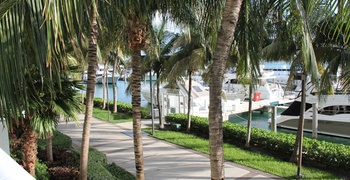 Icon South Beach 2