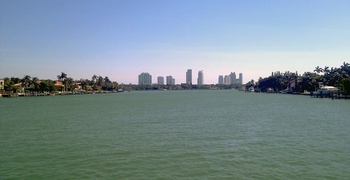Palm & Hibiscus Island 13