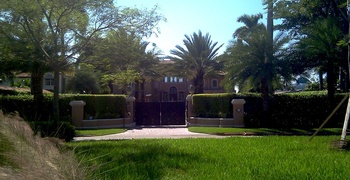 Palm & Hibiscus Island 1