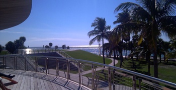 South of FIfth 41