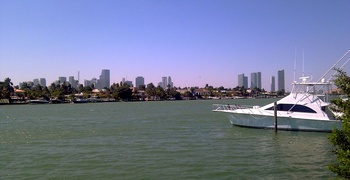 Palm & Hibiscus Island 15