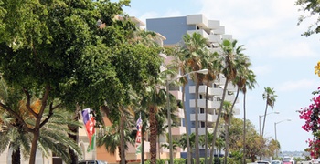 Edgewater in Midtown Miami 8