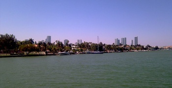 Palm & Hibiscus Island 14