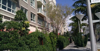 Midtown Miami Photos 20
