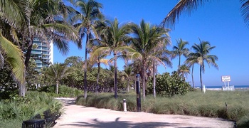 Bal Harbour Beach 1