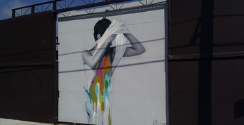 Wynwood Art and Design District 13