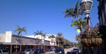 Surfside 7
