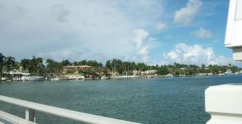 Palm & Hibiscus Island 9
