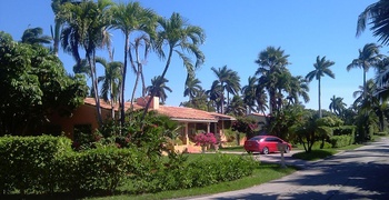 Palm & Hibiscus Island 3