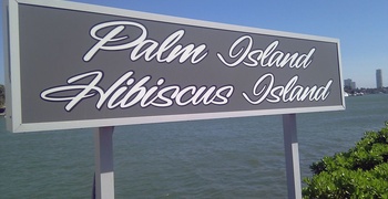 Palm & Hibiscus Island 11