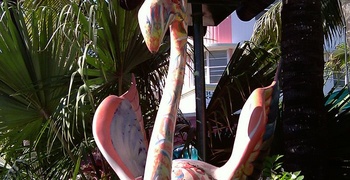 South Beach  17