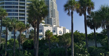 Continuum Miami 19