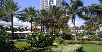 continuum towers 4