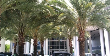 Latitude 3