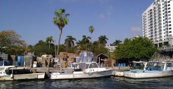 Miami River Pictures 36