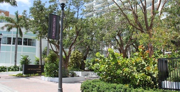 Edgewater in Midtown Miami 12