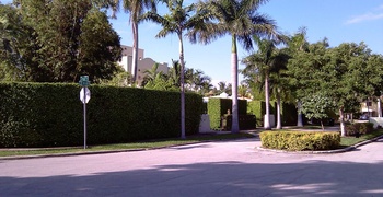 Venetian Islands 19