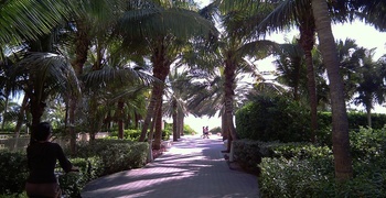 South Beach  2