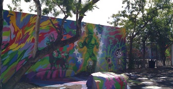 Wynwood Art and Design District 30