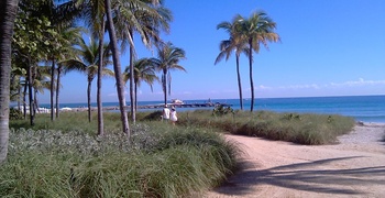 Bal Harbour 10