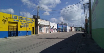 Wynwood Art and Design District 4
