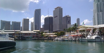 Downtown Miami Photo's 16