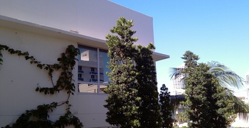 Ocean House Residential 12