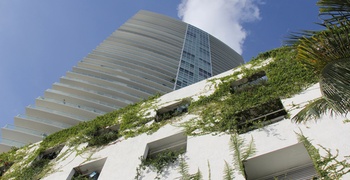 Icon South Beach 5