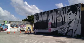 Wynwood Art and Design District 3