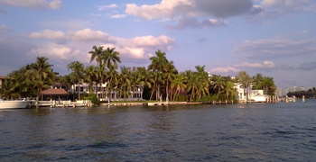 Palm & Hibiscus Island 8