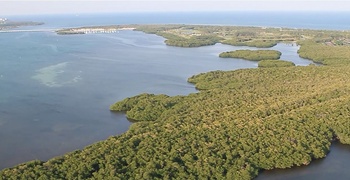 Key Biscayne Properties  1