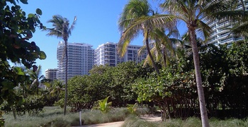 Bal Harbour 2