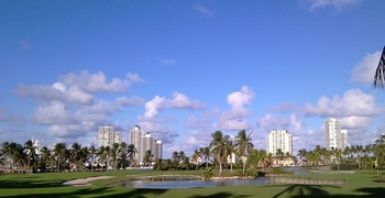Fisher Island interior 14