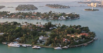 Palm & Hibiscus Island Miami  2