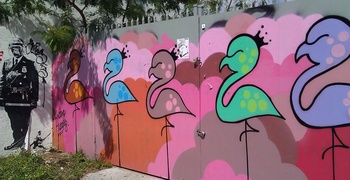 Wynwood Art and Design District 18
