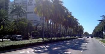 Bal Harbour Beach 5