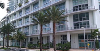 Ivy 7