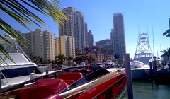 Sofi "South Of Fifth" 