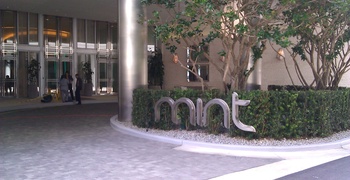 Mint 1
