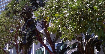 South Beach  6