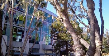 South Beach  10