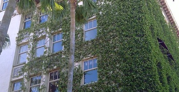 South Beach  20