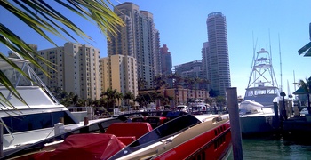 South of FIfth 36