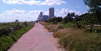Miami Beach 14