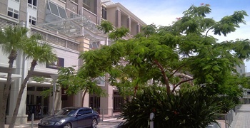 Midblock Miami