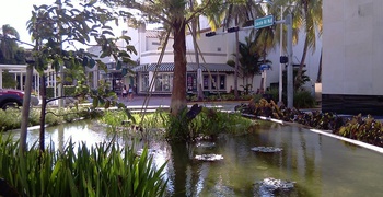 South Beach  12