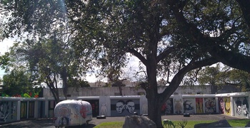 Wynwood Art and Design District 29