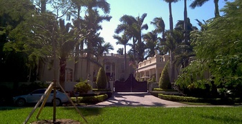 Palm & Hibiscus Island 2