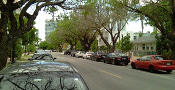 SoFI (south of 5th) 2