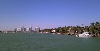 Palm & Hibiscus Island 4